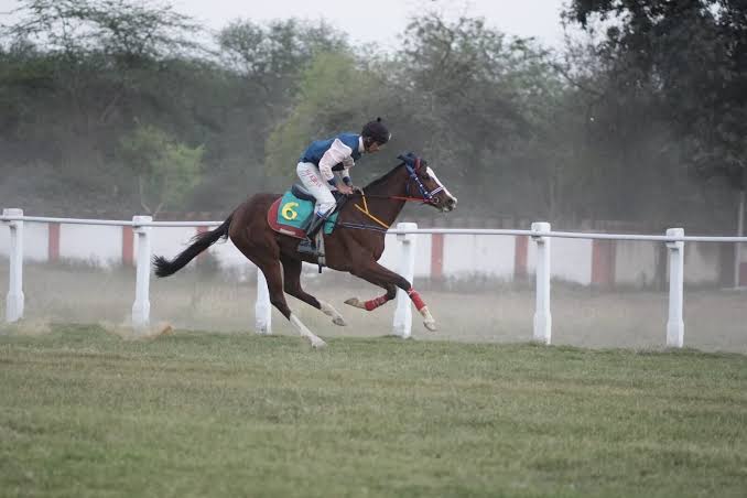 Horse and rider in motion